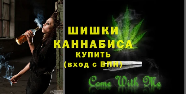 прущий лед Инсар