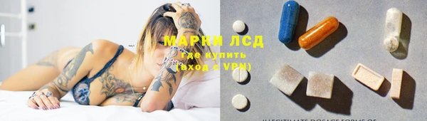 прущий лед Инсар