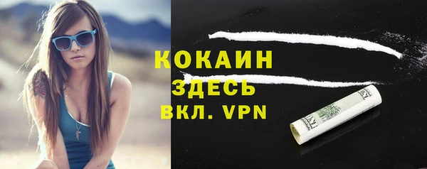 прущий лед Инсар