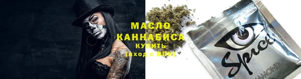 прущий лед Инсар