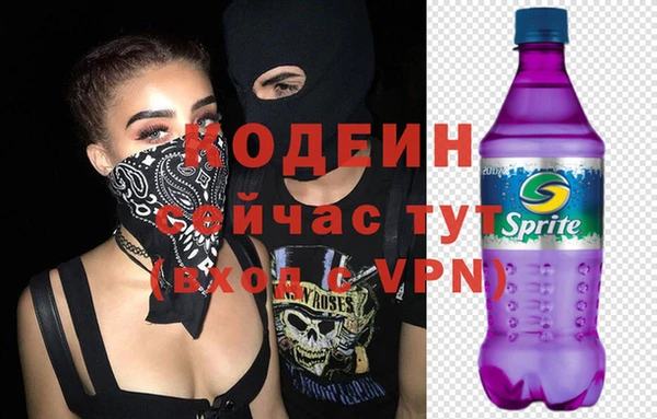 прущий лед Инсар