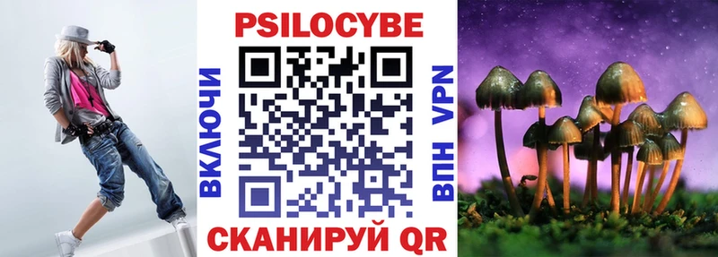 Купить где  Орёл  Галлюциногенные грибы GOLDEN TEACHER 